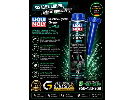 GASOLINE SYSTEM CLEANER LPG LIQUI MOLY 300ML